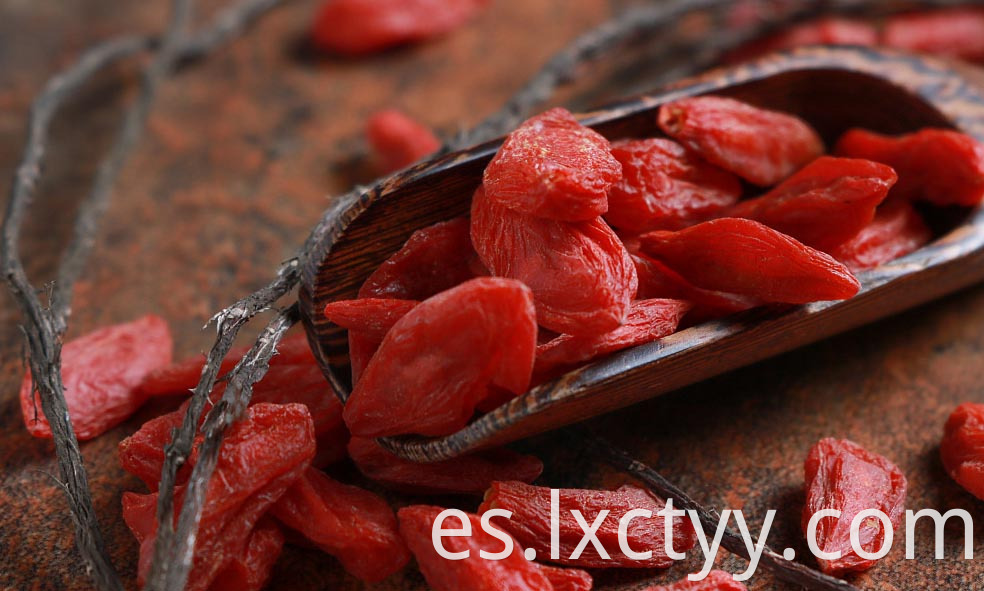 chinese wild red wolfberry